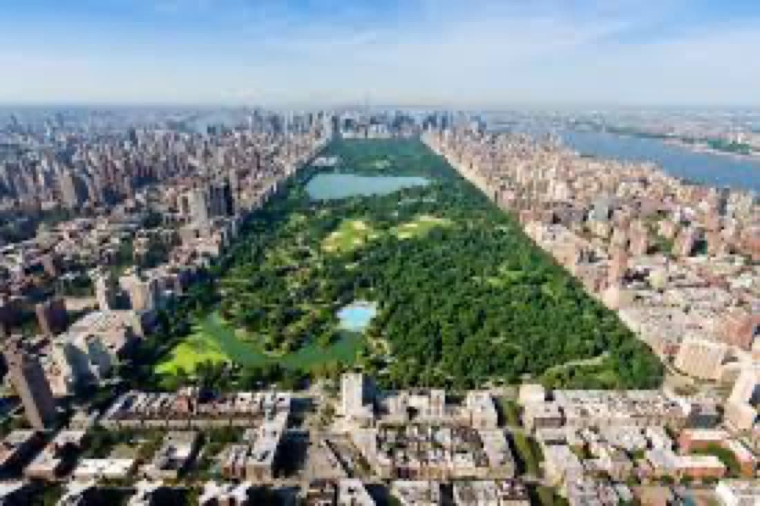 New York 4